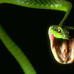 Капризная Девчонка, 03.05.1997