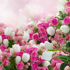 Евгения Вихляева, 07.05.1985, Пермь