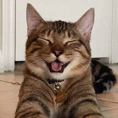 Шахерезада Садыкова, 19.01, Уральск