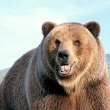 Фарид Иксанов, 05.09.1984, Санкт-Петербург