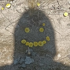 Юра Андреев, 28.12, Санкт-Петербург