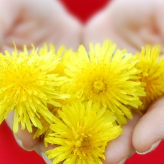 Иринка Rinka, 22.04, Новосибирск