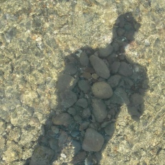 Александр Попов, 05.06, Ростов-на-Дону