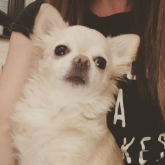 Лиана Гумба, 03.04.1988, Москва