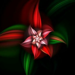 ကဗ်ာမဆန္ အိမ္မျပန္, 26.02.1995