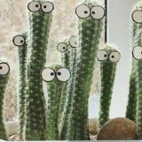 Ирина Сулименко, 31.10, Алматы