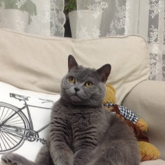 Дмитрий Индюшный, 20.09.1983, Москва