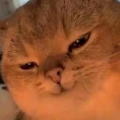 Дмитрий Кирхмейер, 28.07.1987, Leeuwarden