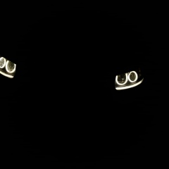 Бауыржан Бекимбетов, 01.05, Жанаозен