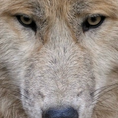 Nurbolat Maldybaev, 23.10.2007, Атырау