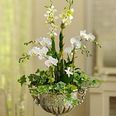 Ксюша Ященко, 24.09, Киев