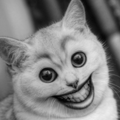 Елена Ёлкина, 20.02.1988, Москва