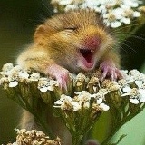 Элеонора Белянова, 11.05.1984, Екатеринбург