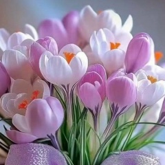 Надежда Матвиенко, Воронеж