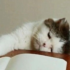 Андрей Владимерович, 27.05.1987