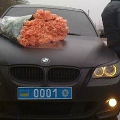 Гоша Куценко, 27.07, Николаев