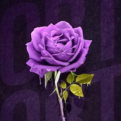 Валерий Дин, 26.07