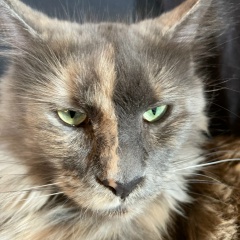 Оксана Баланцева, 04.05