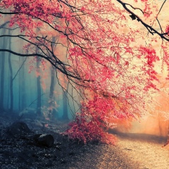 Татьяна Бегун, 11.11, Санкт-Петербург