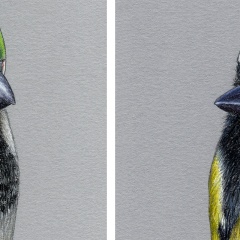 Марк Заяц, 13.02, Москва