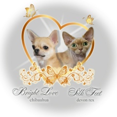 Ольга Русинова, 18.10.1985, Краснодар