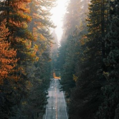 Алексей Тарасенков, 11.08, Кетово