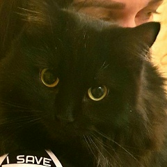 Надежда Плтонова, 20.04.1987, Санкт-Петербург