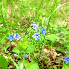Анна Подлепина, 23.06.1984, Белгород