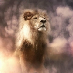 Andrey Avery, 13.08, Manchester