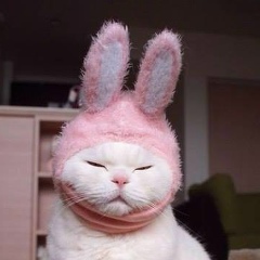 Ася Демидова, 12.09, Dublin