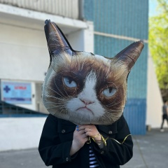 Марина Шафоростова, Москва