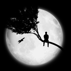 Ulvi Nesibov, 13.12, Баку