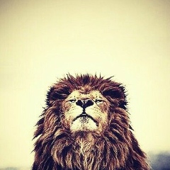 Сулеймен Умбеткул, 07.11.1991