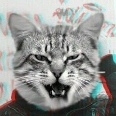 Roman Aparin, 27.09.1988, Санкт-Петербург