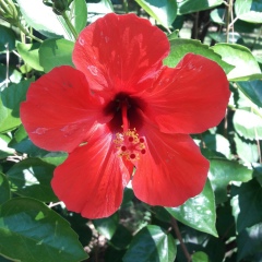 Alma Kozhabekova, 09.06, Алматы