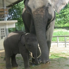 Евгений Рябинин, 11.11.1980, Новосибирск