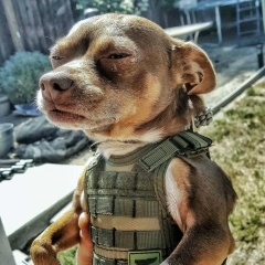 Семён Семёнов, Москва