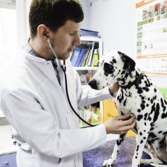 Віталій Шахнір, 26.06, Запорожье