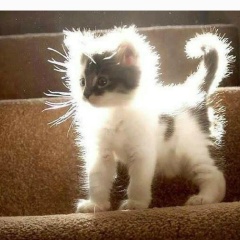 Юлия Балышева, 16.10, Москва