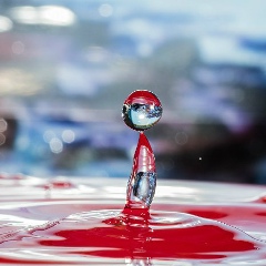 Александр Толстой, 02.06.1985, Воронеж