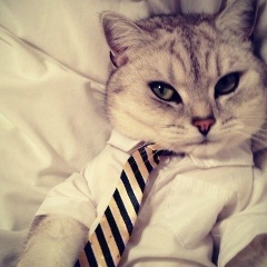 Ясмина Хамдамова, 22.12, Москва