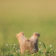 Татьяна Глазкова, 11.02, Зеленоград