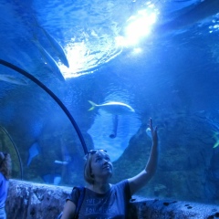 Ольга Хватова, 05.05, Углич