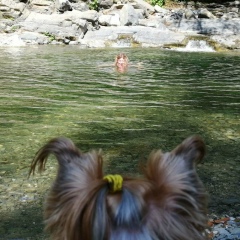 Наталья Лебединская, 17.12, Санкт-Петербург