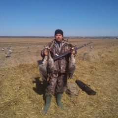 Александр Котов, Чехов