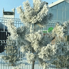 Aba Astana, 02.05, Астана