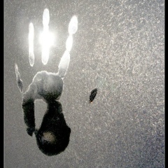 Алексей Кузин, 08.03.1975, Москва