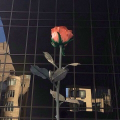 Жадыра Коныспаева, 26.09, Атырау