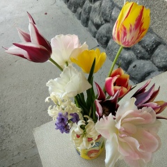 Ольга Вейкум, 08.03.1987, Шымкент