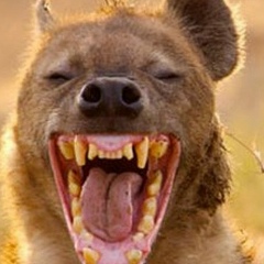 Мистер Позитив, 02.08, Москва